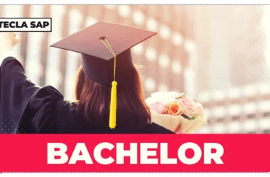 BACHELOR? Qual é o significado e a tradução de BACHELOR?