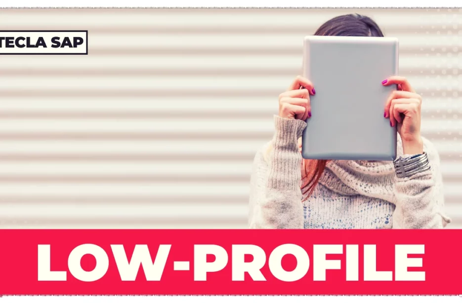 As facetas do perfil Low Profile: conheça os discretos on-line