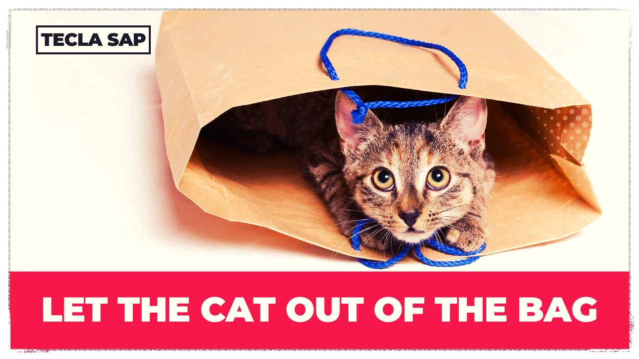 O que "LET THE CAT OUT OF THE BAG" significa?