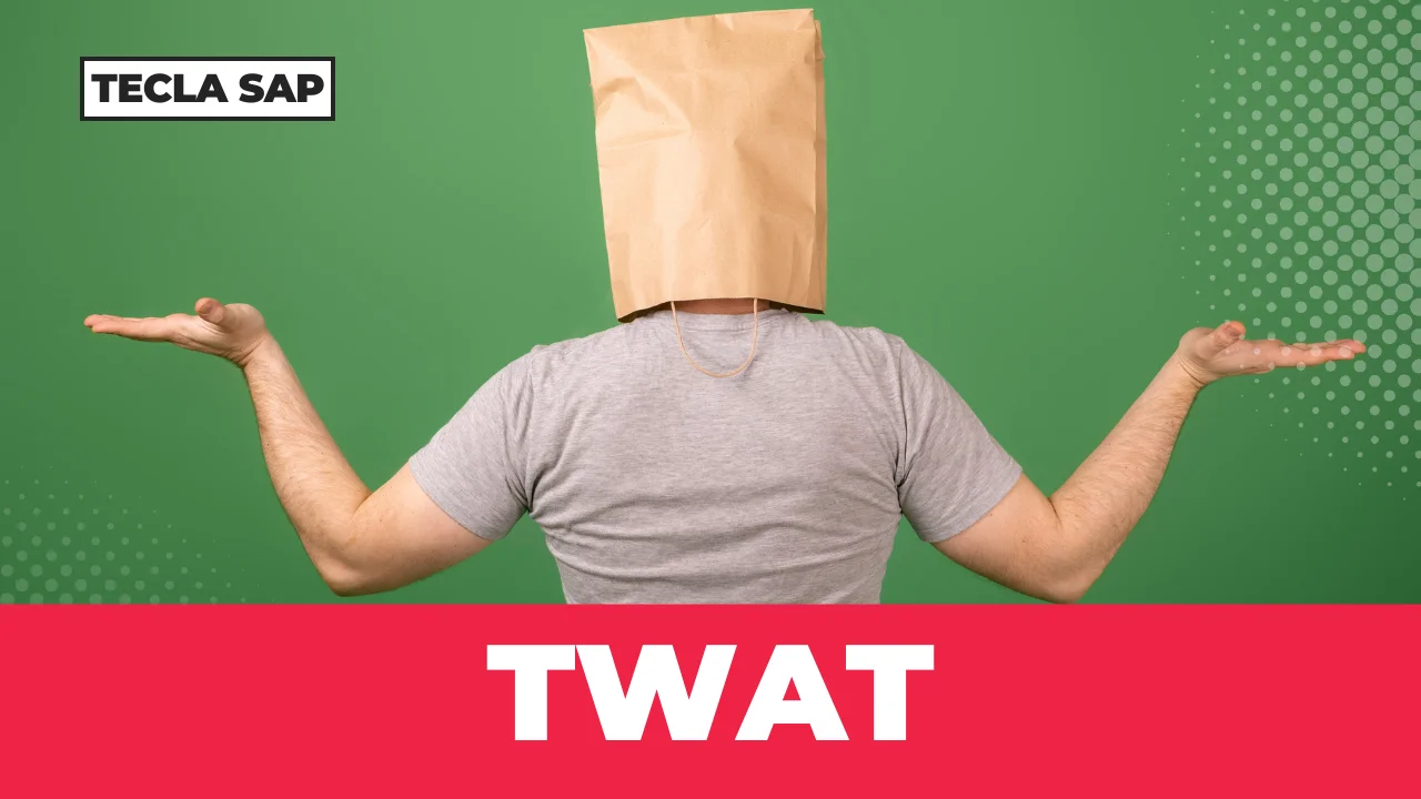 TWAT? Qual é o significado e a tradução dessa gíria ofensiva?