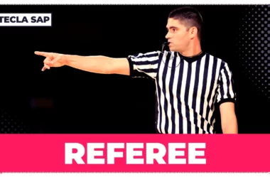 REFEREE? Qual é o significado e a tradução de “REFEREE”?