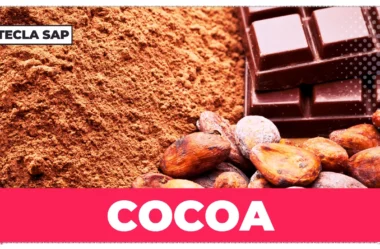 COCOA? Qual é o significado e a tradução de “COCOA”?