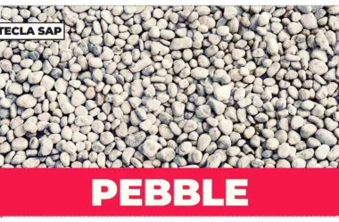 PEBBLE? Qual é o significado e a tradução de “PEBBLE”?