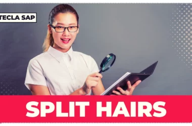 SPLIT HAIRS? Qual é o significado da expressão?