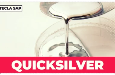 QUICKSILVER? Qual é o significado e a tradução da palavra?