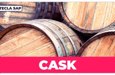 CASK? Qual é o significado e a tradução de “CASK”?