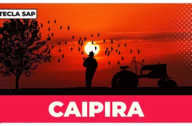 Caipira? Como se diz “caipira” em inglês? Existe equivalente?