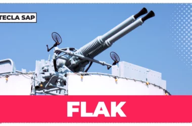 FLAK? Qual é o significado e a tradução de “FLAK”?