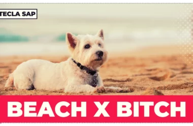 BEACH x BITCH? Qual é a diferença de pronúncia?